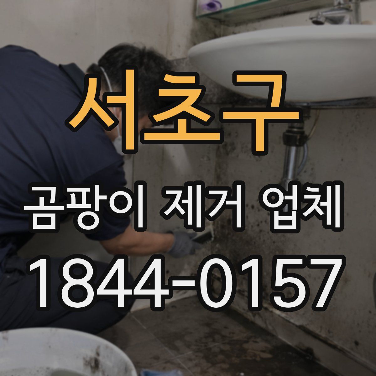 서초구 곰팡이 제거 업체