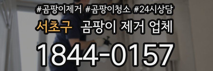 서초구 곰팡이 제거 업체