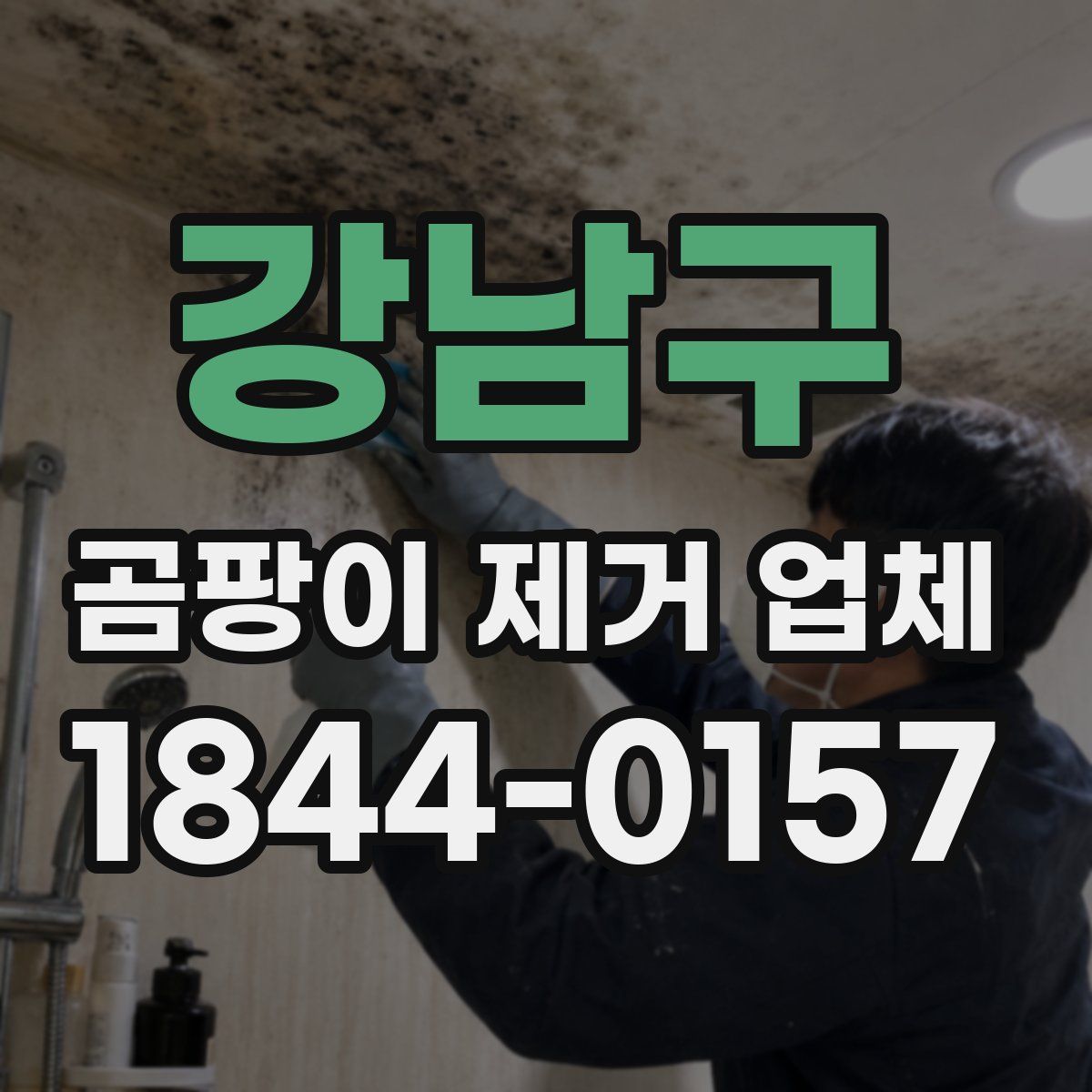 강남구 곰팡이 제거 업체