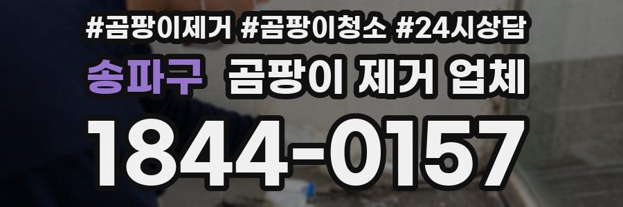 송파구 곰팡이 제거 업체