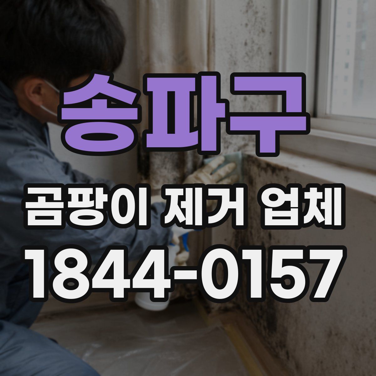 송파구 곰팡이 제거 업체