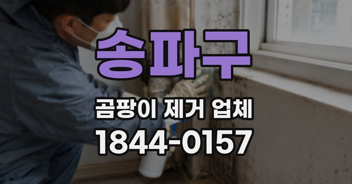 송파구 곰팡이 제거 업체