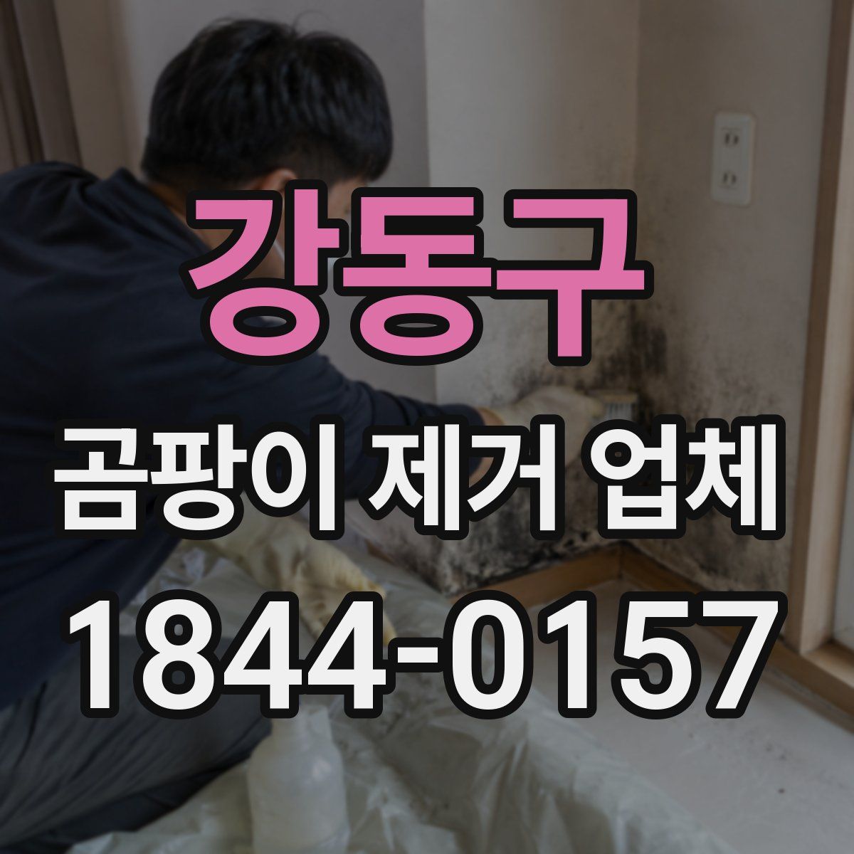 강동구 곰팡이 제거 업체