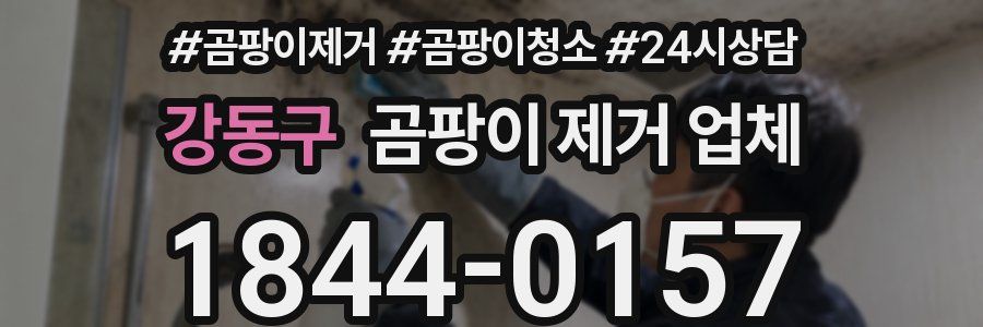 강동구 곰팡이 제거 업체