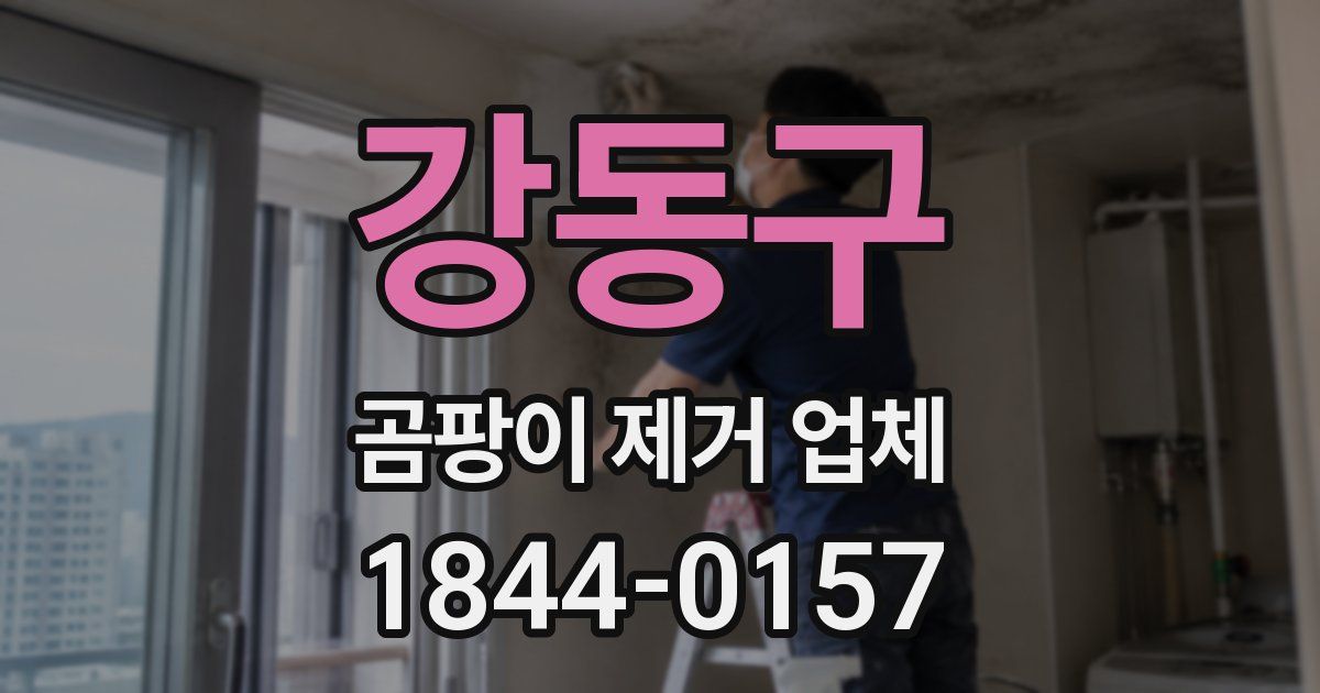 강동구 곰팡이 제거 업체