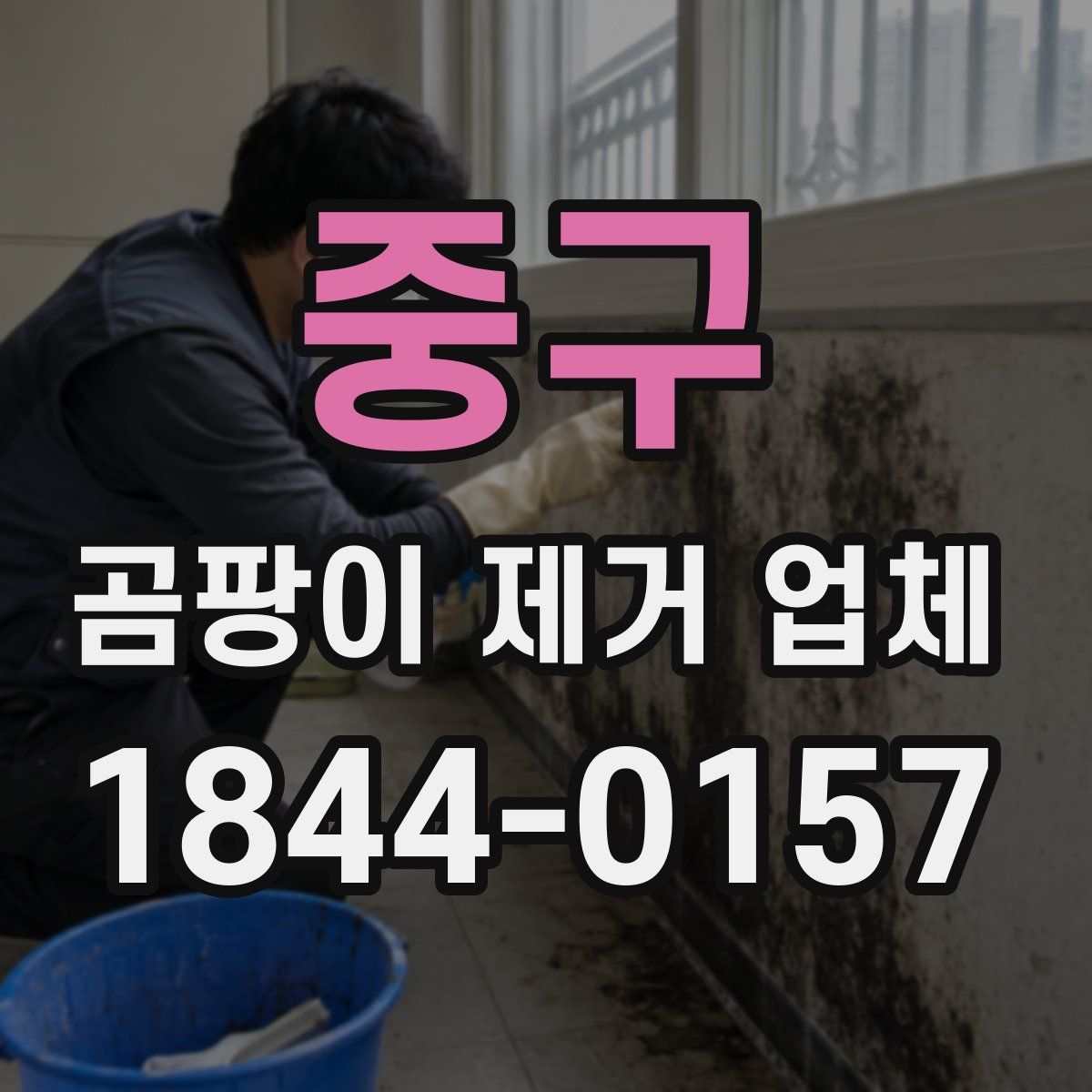 중구 곰팡이 제거 업체