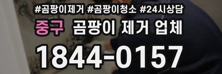 중구 곰팡이 제거 업체