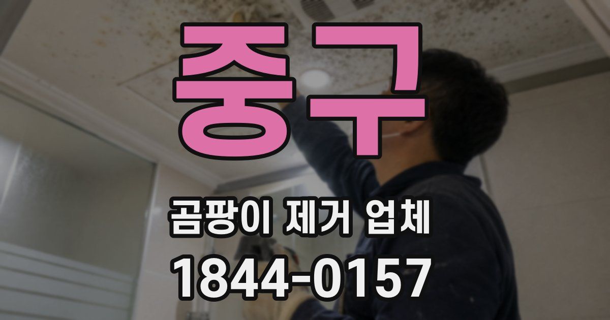 중구 곰팡이 제거 업체