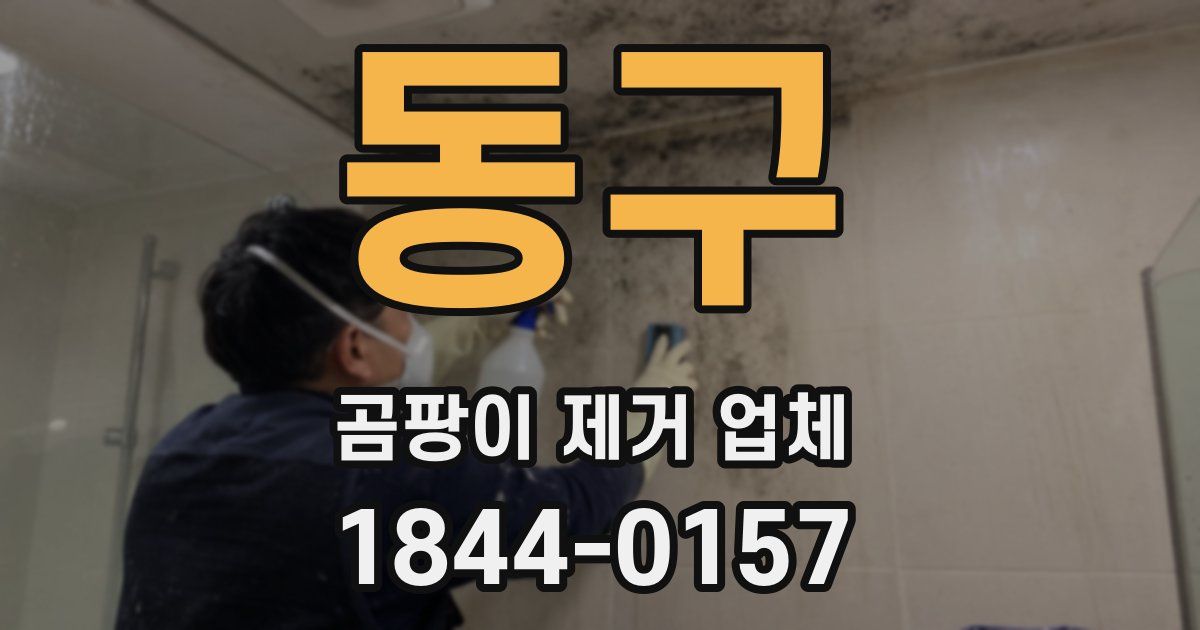 동구 곰팡이 제거 업체