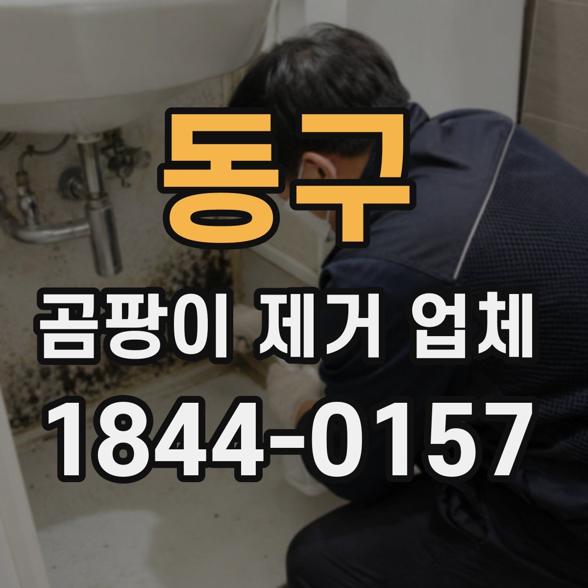 동구 곰팡이 제거 업체