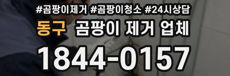 동구 곰팡이 제거 업체