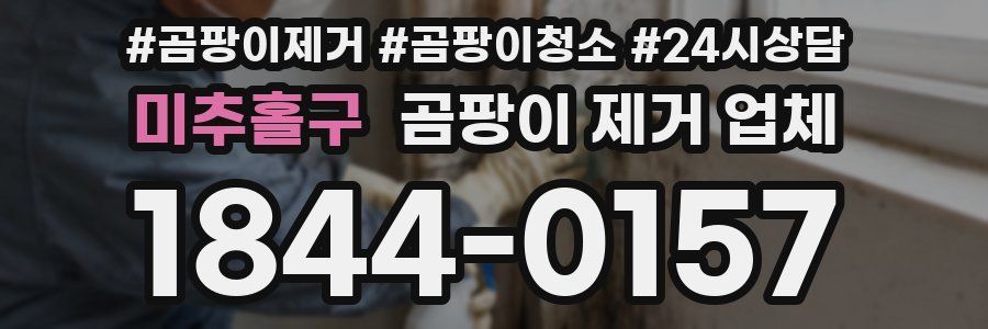 미추홀구 곰팡이 제거 업체