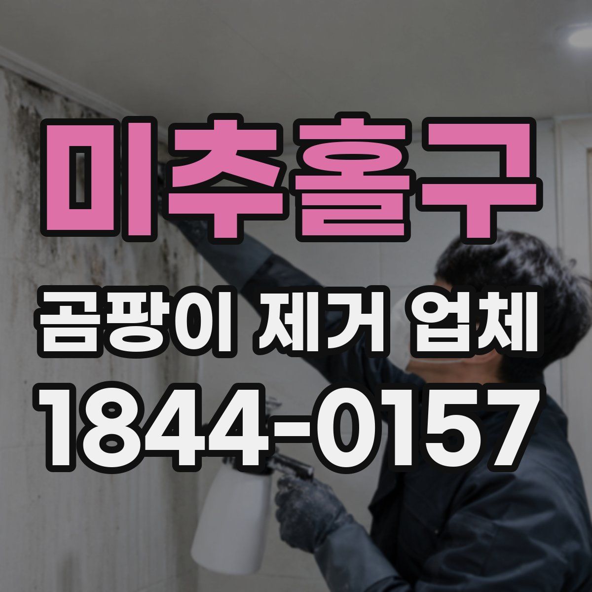 미추홀구 곰팡이 제거 업체