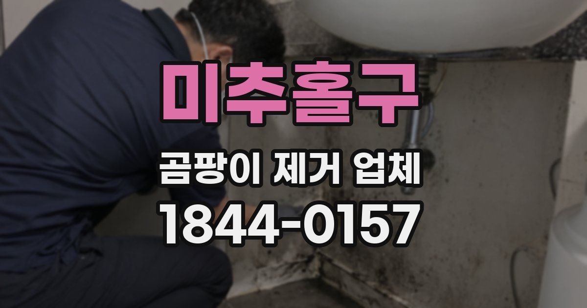 미추홀구 곰팡이 제거 업체