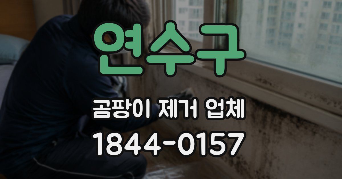 연수구 곰팡이 제거 업체