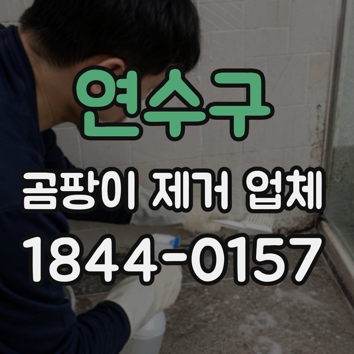 연수구 곰팡이 제거 업체