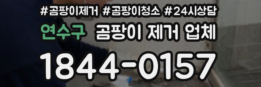 연수구 곰팡이 제거 업체