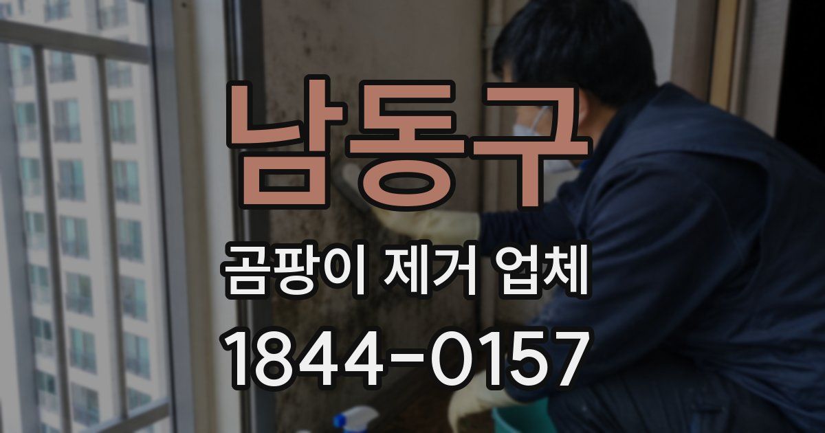 남동구 곰팡이 제거 업체