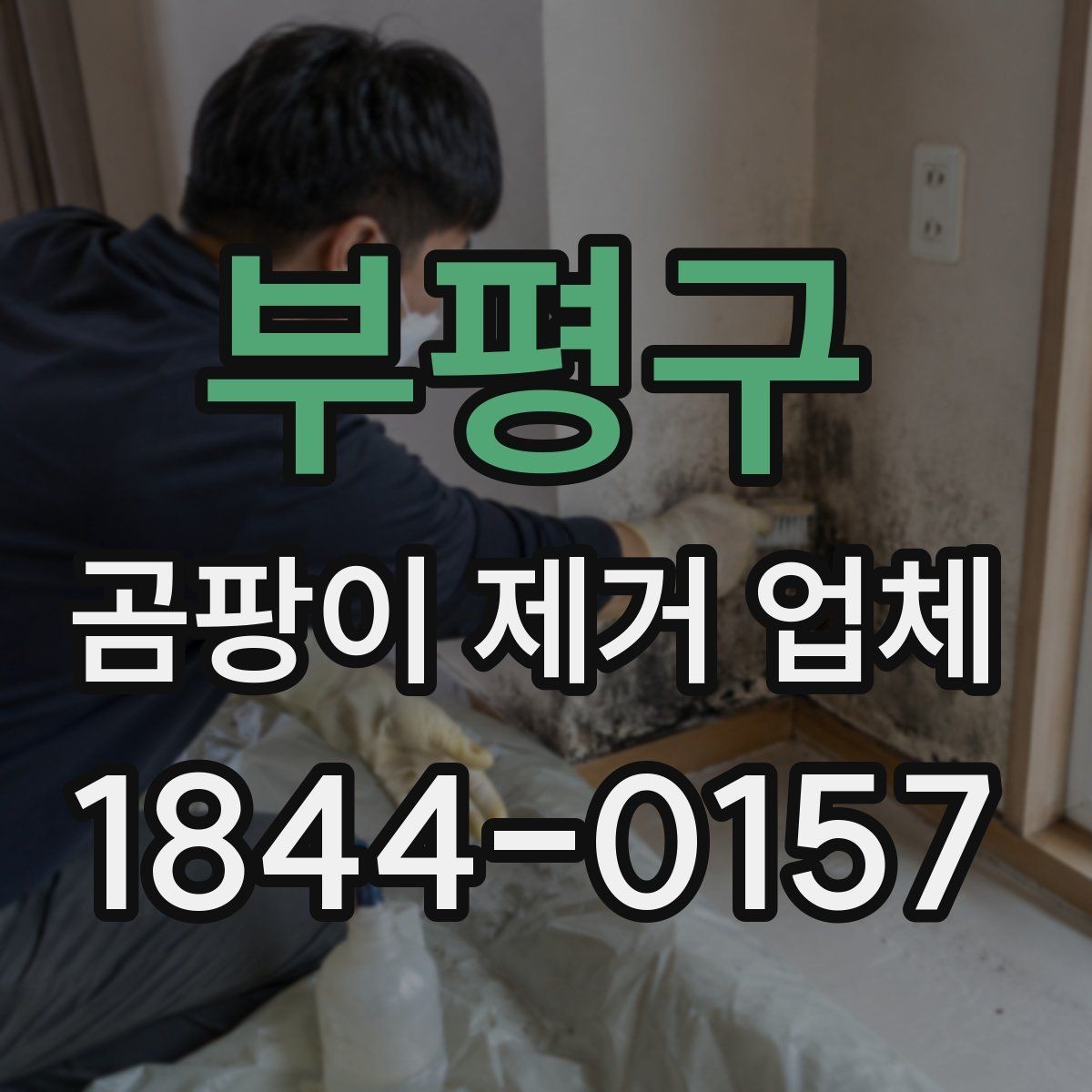 부평구 곰팡이 제거 업체 장마철 실내 습도 관리와 오염 예방