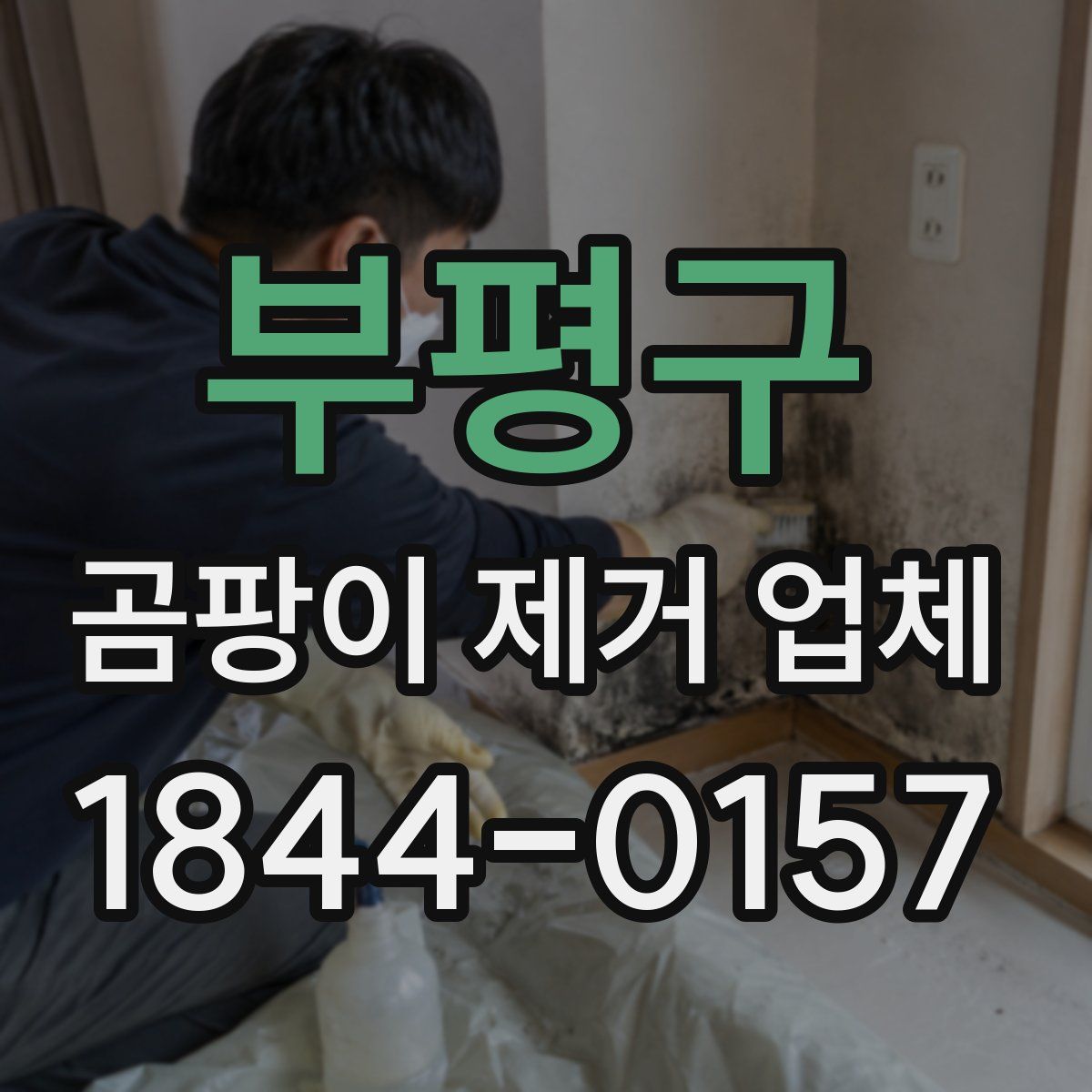 부평구 곰팡이 제거 업체