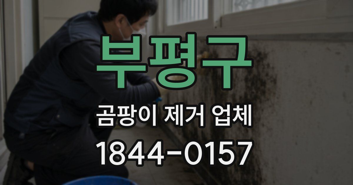 부평구 곰팡이 제거 업체