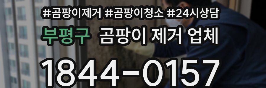 부평구 곰팡이 제거 업체