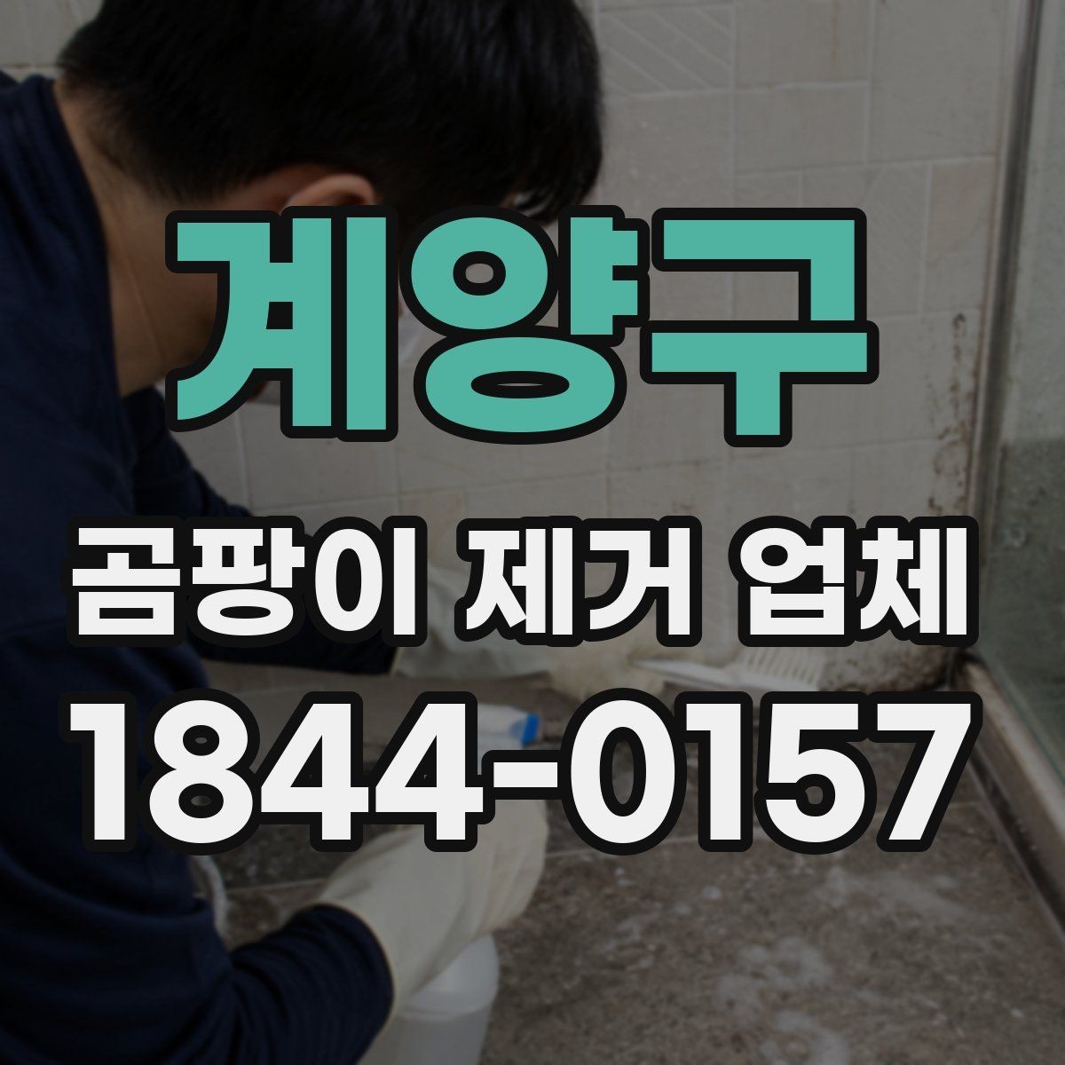 계양구 곰팡이 제거 업체 재발 가능성을 낮추는 현장 점검 순서