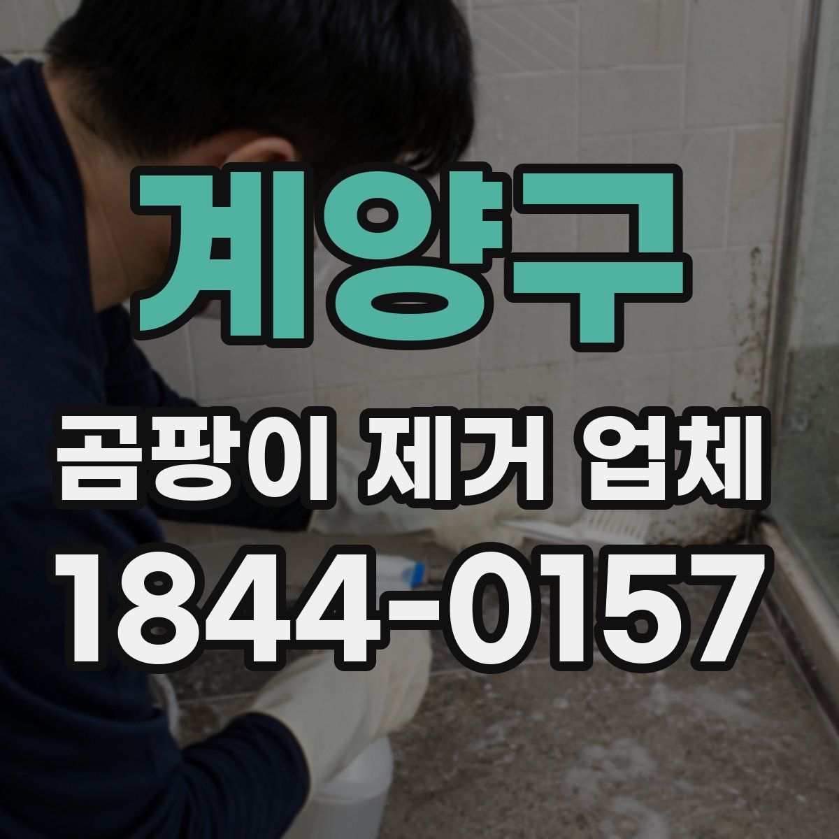 계양구 곰팡이 제거 업체