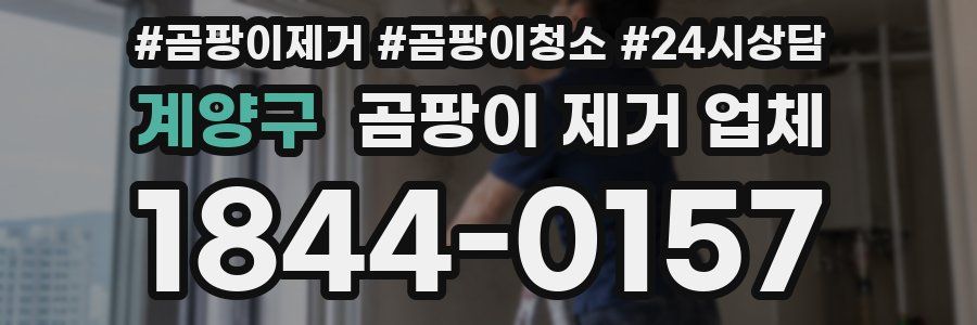 계양구 곰팡이 제거 업체