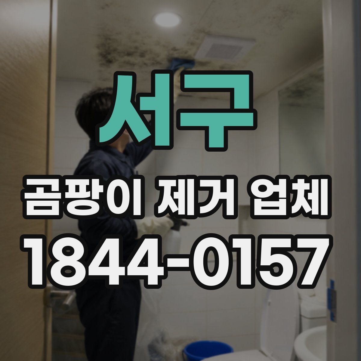 서구 곰팡이 제거 업체