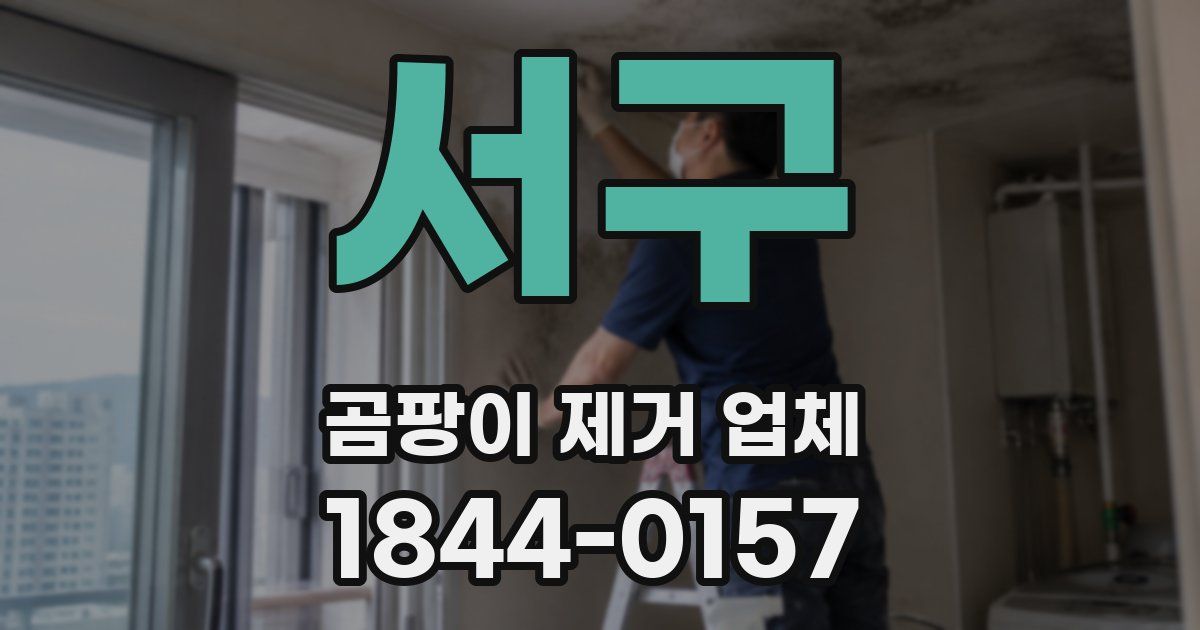 서구 곰팡이 제거 업체