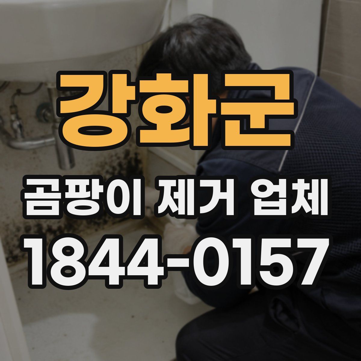 강화군 곰팡이 제거 업체