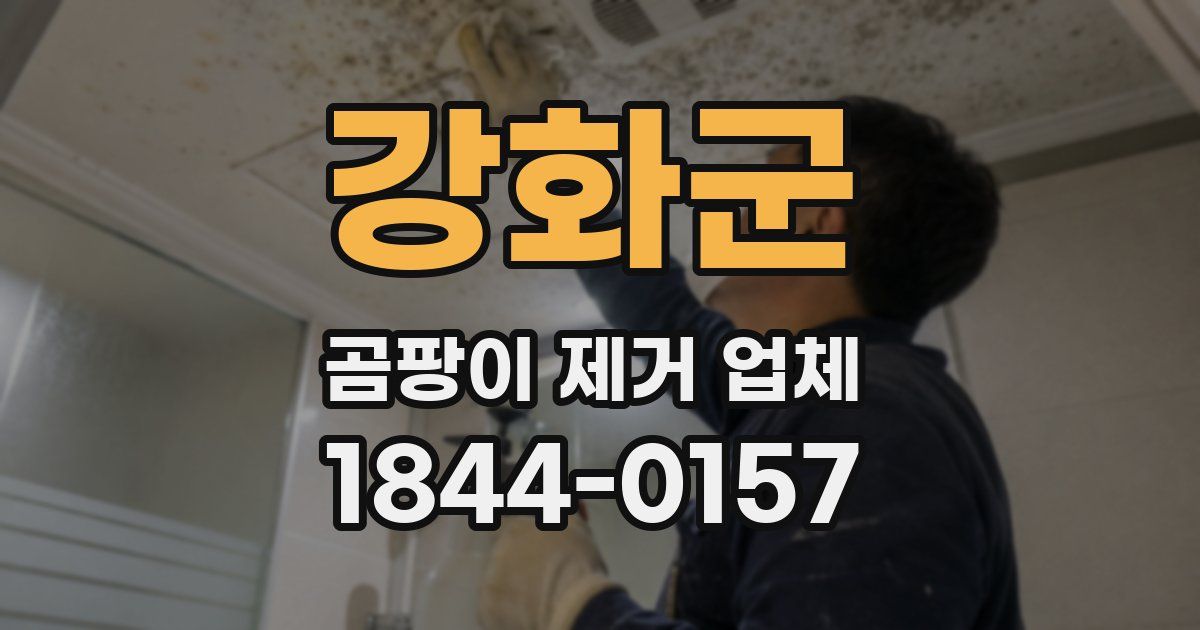 강화군 곰팡이 제거 업체
