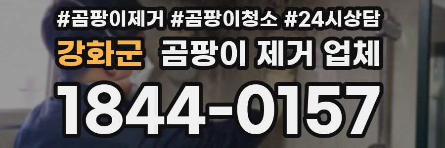 강화군 곰팡이 제거 업체
