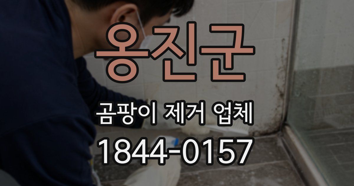 옹진군 곰팡이 제거 업체