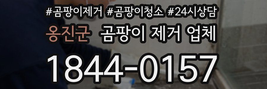 옹진군 곰팡이 제거 업체