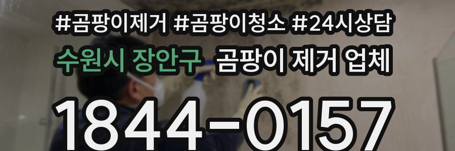 수원시 장안구 곰팡이 제거 업체