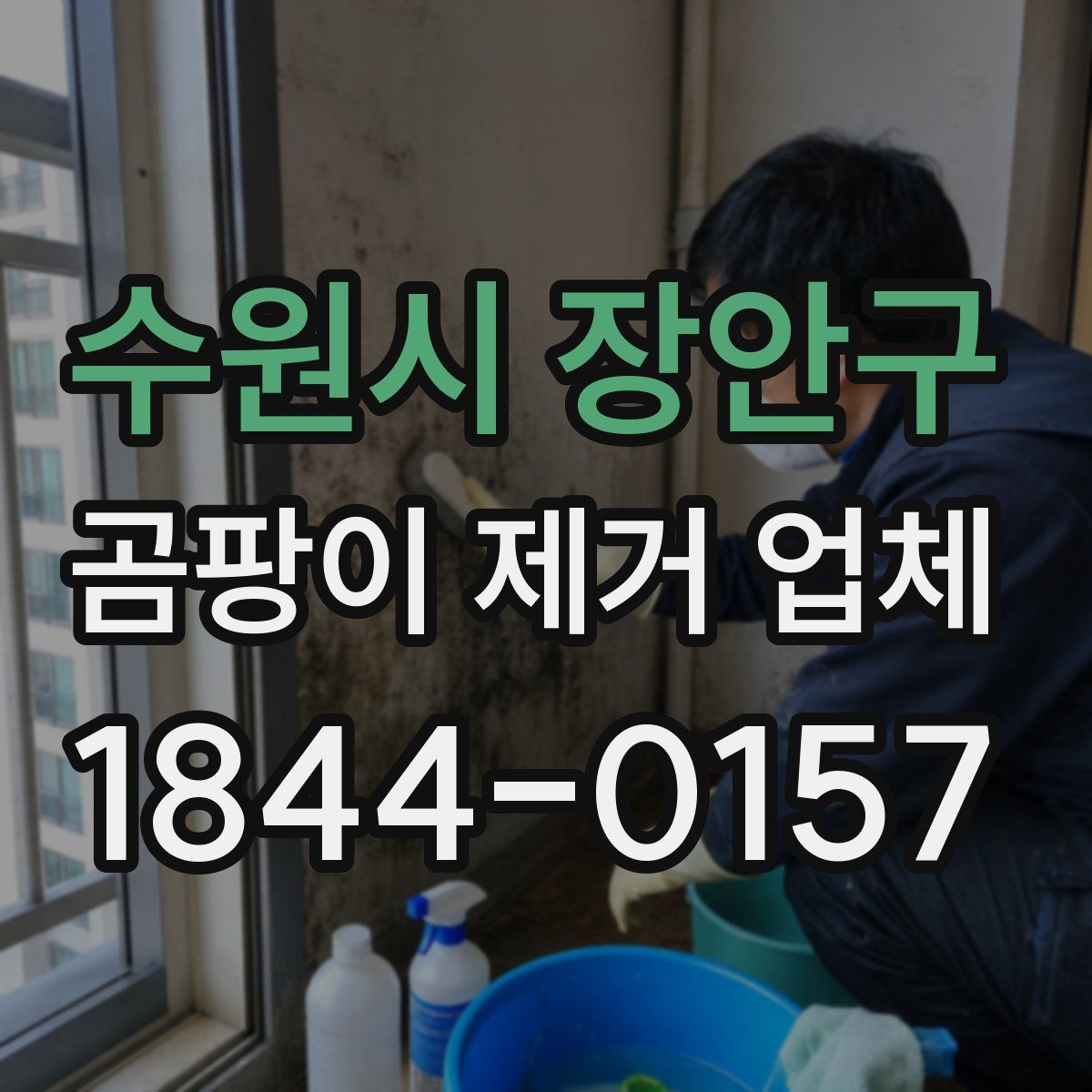 수원시 장안구 곰팡이 제거 업체