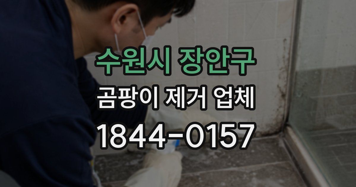 수원시 장안구 곰팡이 제거 업체