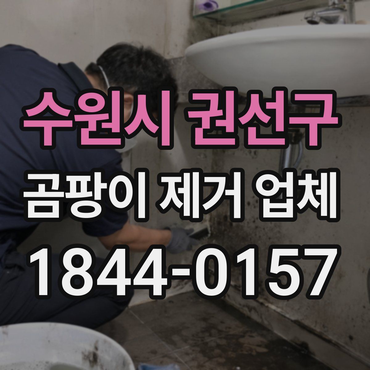 수원시 권선구 곰팡이 제거 업체