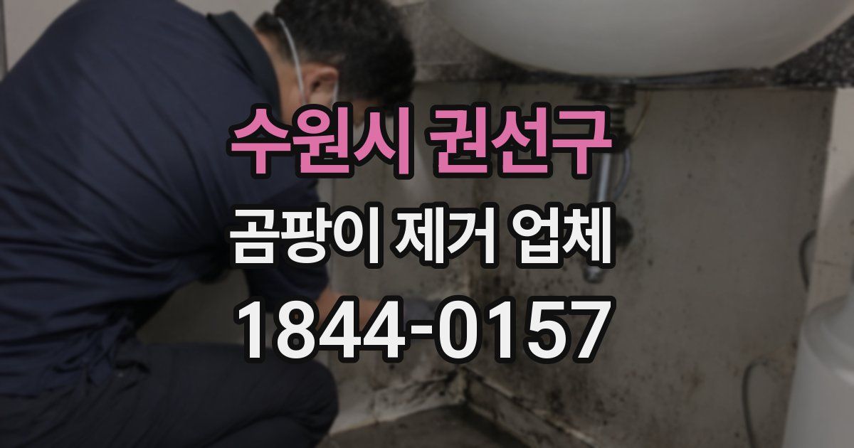 수원시 권선구 곰팡이 제거 업체
