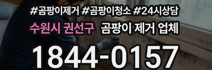 수원시 권선구 곰팡이 제거 업체