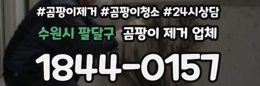 수원시 팔달구 곰팡이 제거 업체