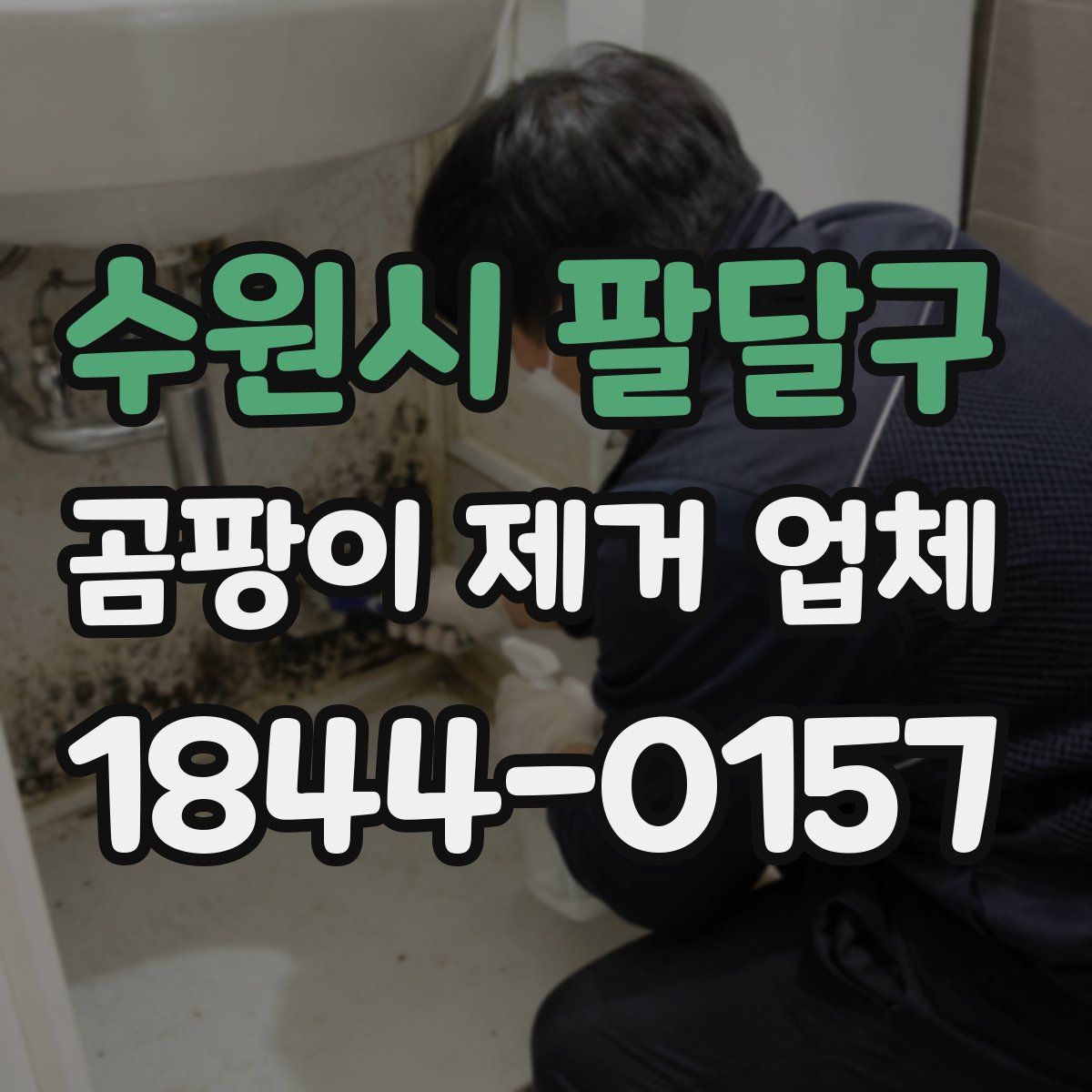 수원시 팔달구 곰팡이 제거 업체