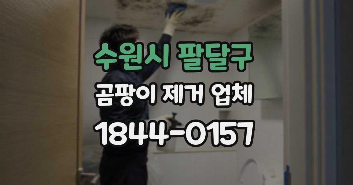 수원시 팔달구 곰팡이 제거 업체
