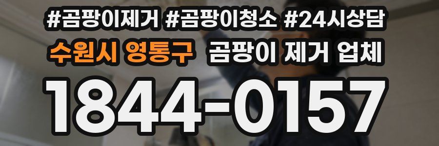 수원시 영통구 곰팡이 제거 업체