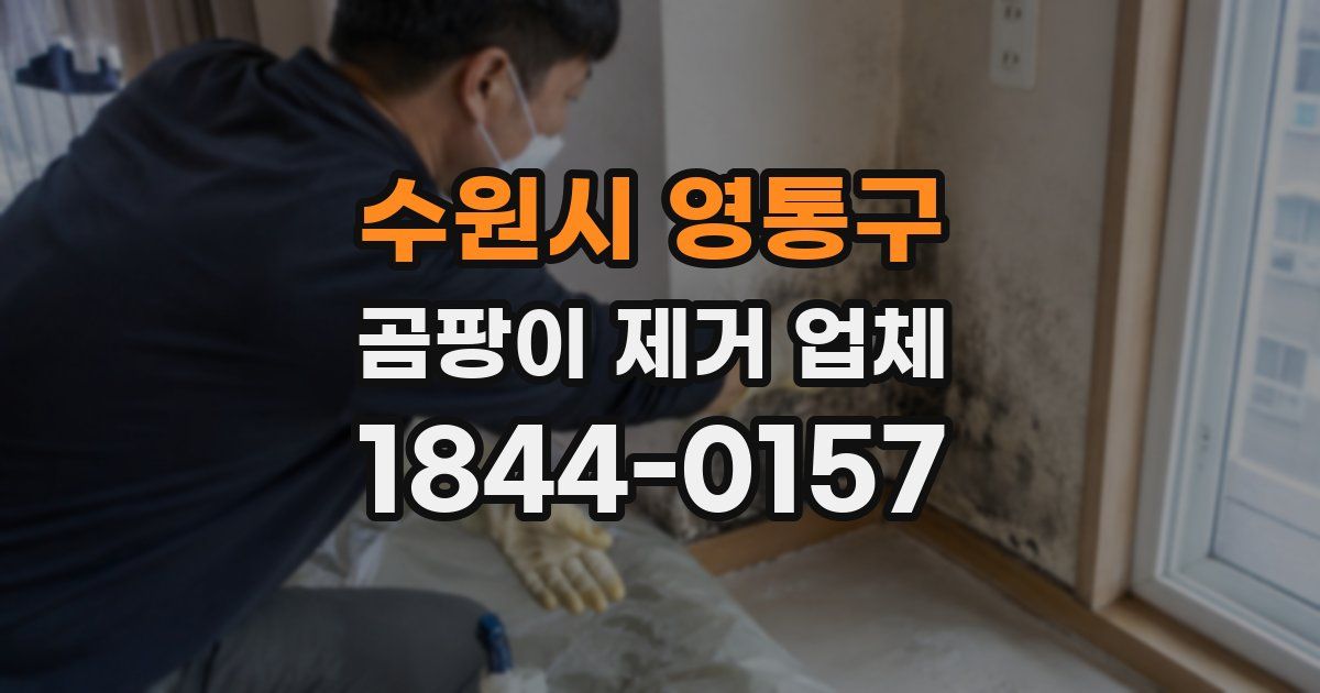 수원시 영통구 곰팡이 제거 업체