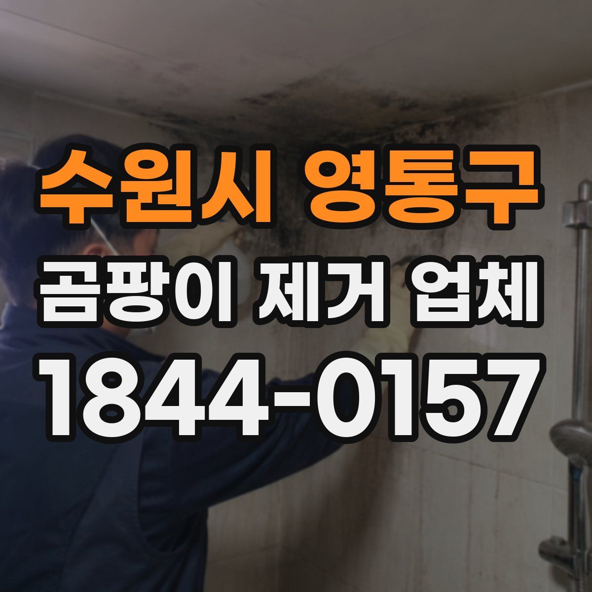 수원시 영통구 곰팡이 제거 업체