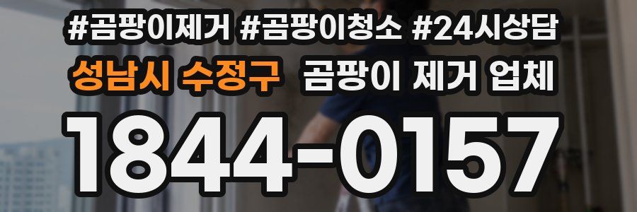 성남시 수정구 곰팡이 제거 업체