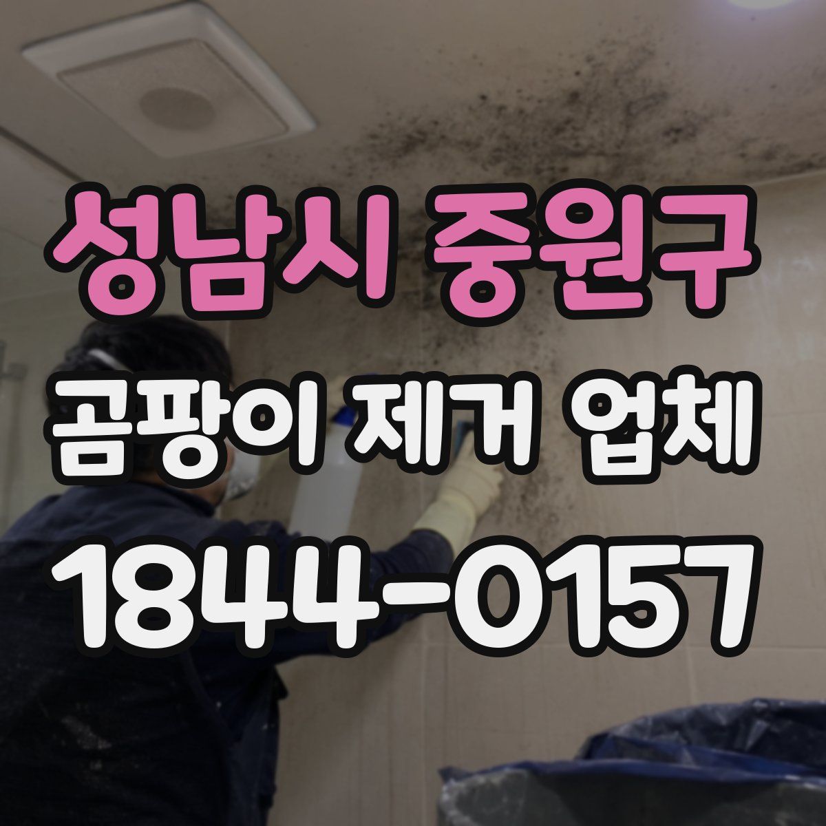 성남시 중원구 곰팡이 제거 업체